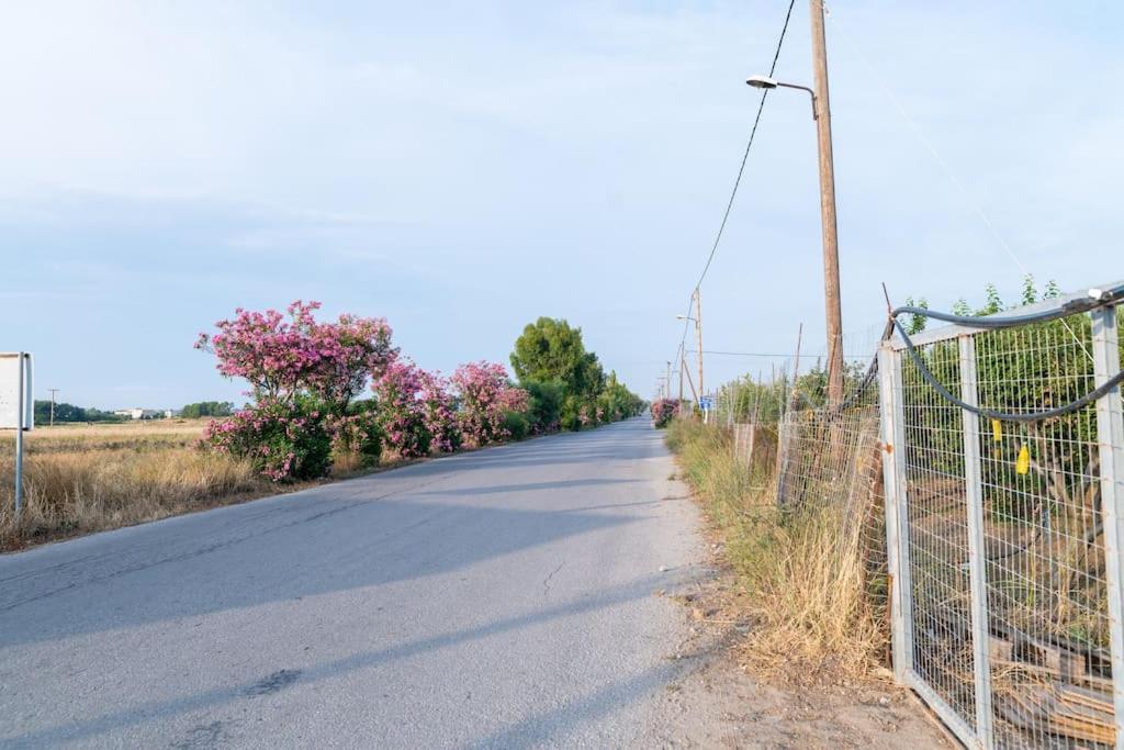 Zografia - Charming House Near The Coast Apartment มาร์มารี ภายนอก รูปภาพ
